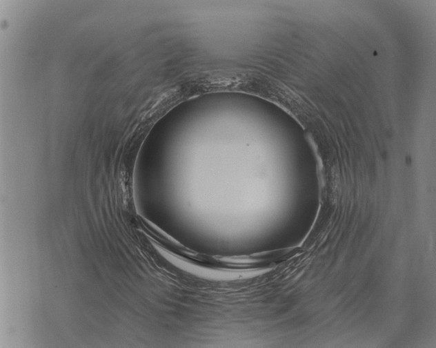 X0000073901394200609011706