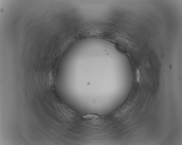 X0000073901395200609011706