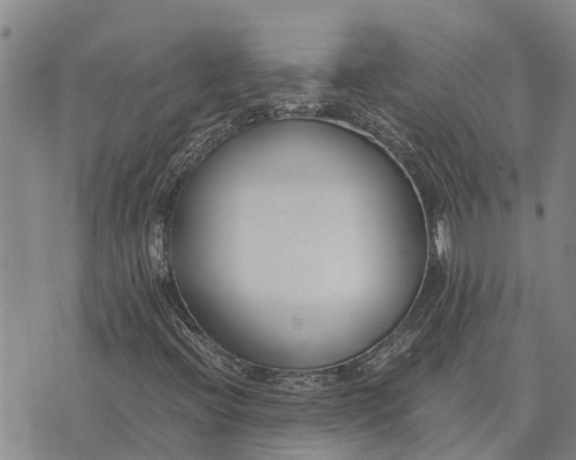 X0000073901396200609011706