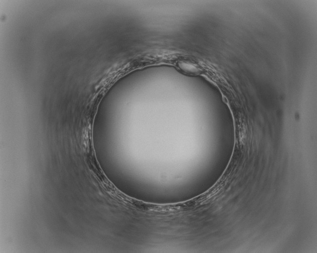 X0000073901397200609011706