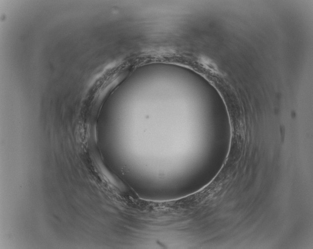 X0000073901398200609011706