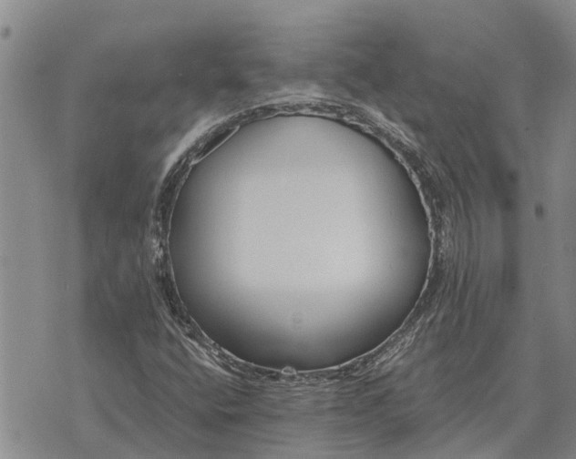 X0000073901400200609011706