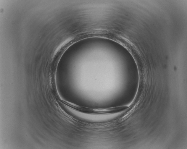 X0000073901402200609011707