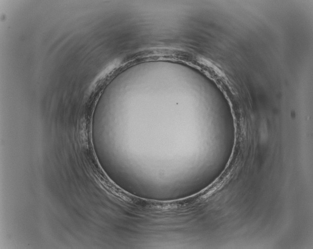 X0000073901403200609011707