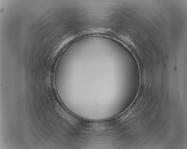 X0000073901404200609011707