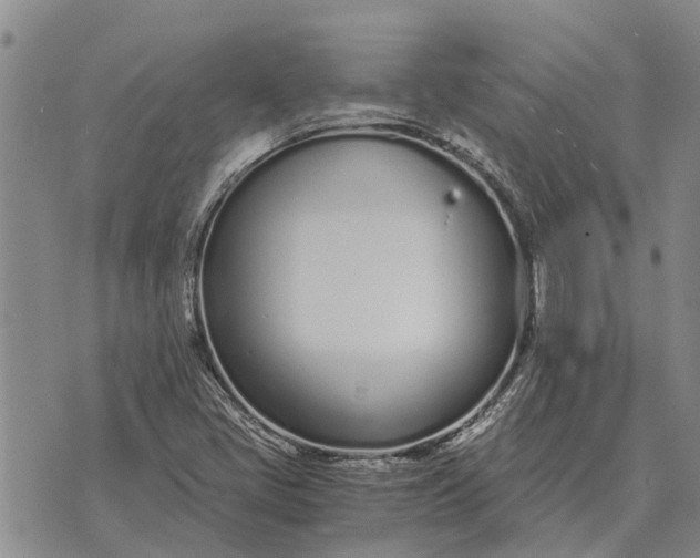 X0000073901405200609011707