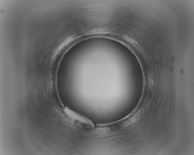 X0000073901406200609011707