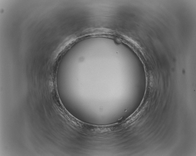 X0000073901407200609011707