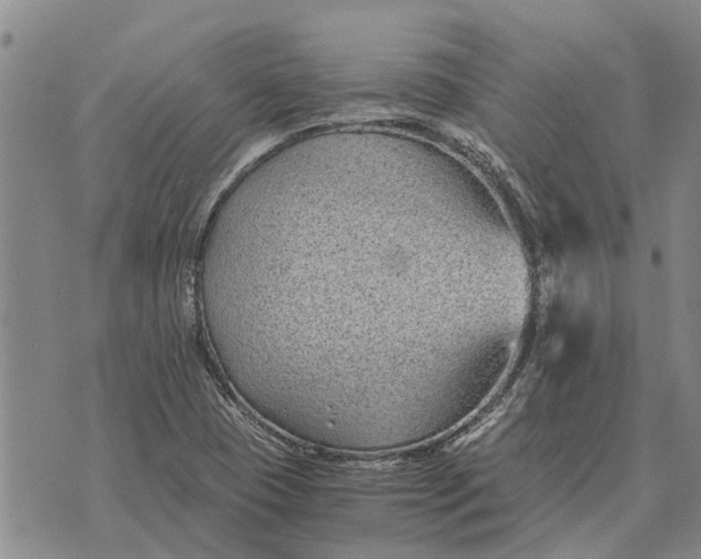 X0000073901409200609011707