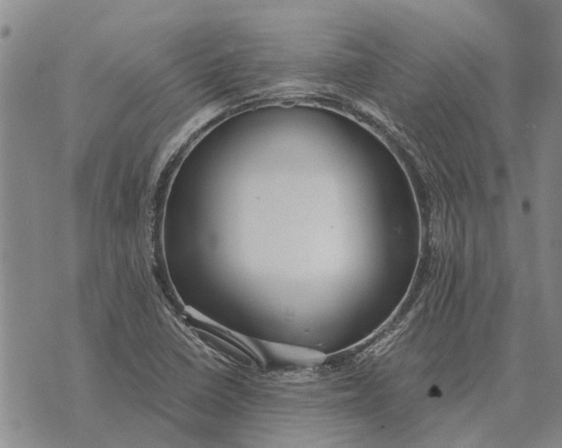 X0000073901410200609011707