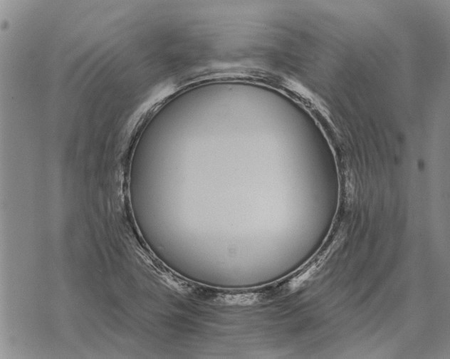 X0000073901411200609011707