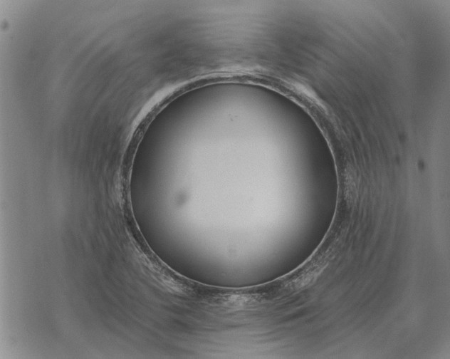 X0000073901412200609011707