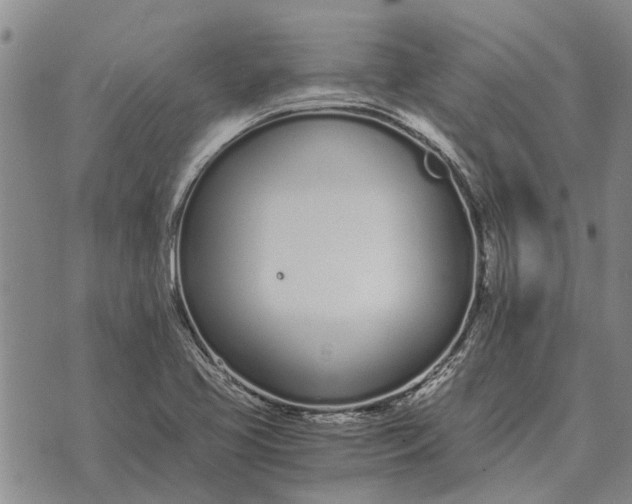 X0000073901413200609011707