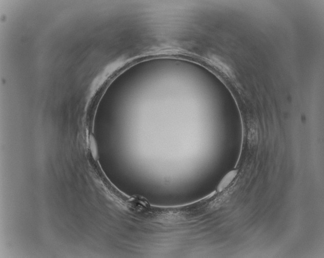 X0000073901414200609011707