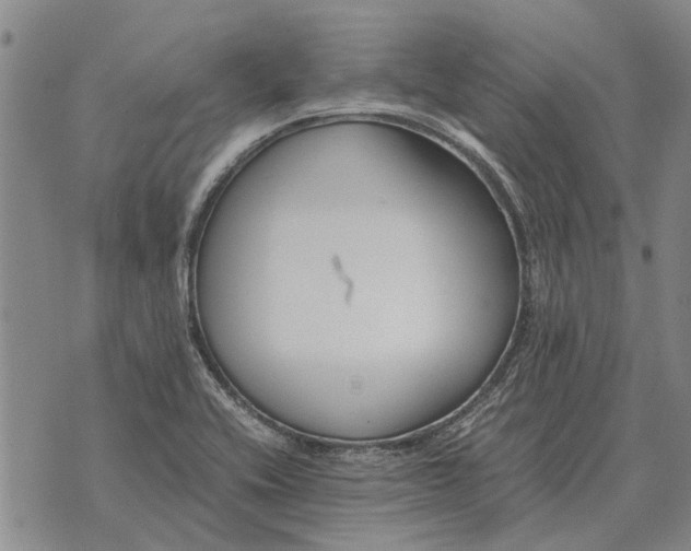 X0000073901416200609011707