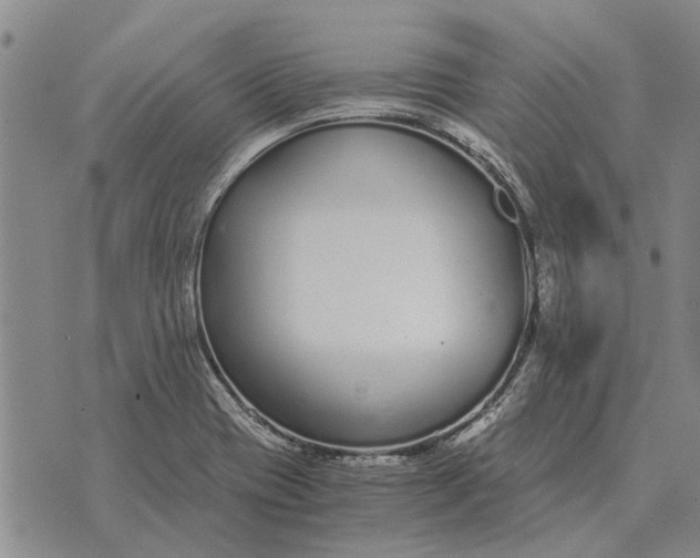 X0000073901417200609011707