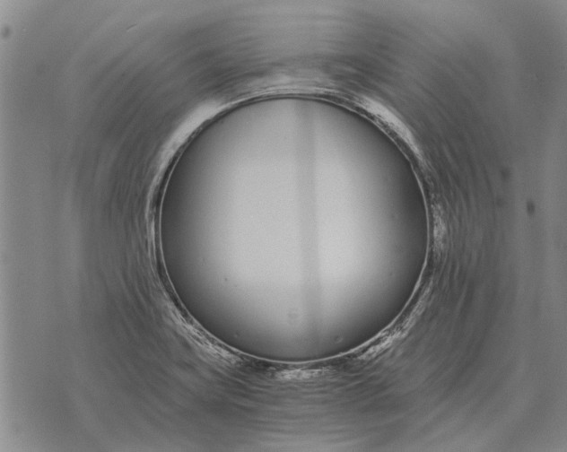 X0000073901419200609011707