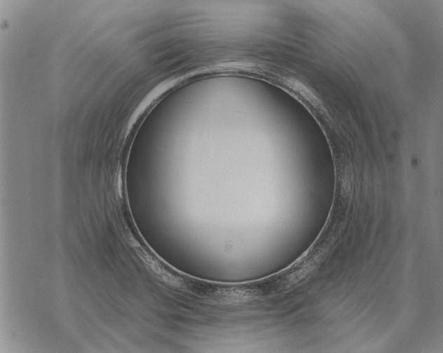 X0000073901420200609011707