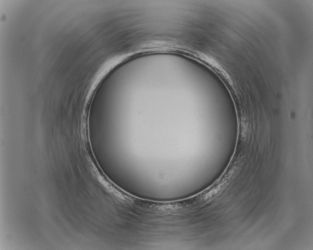 X0000073901421200609011707