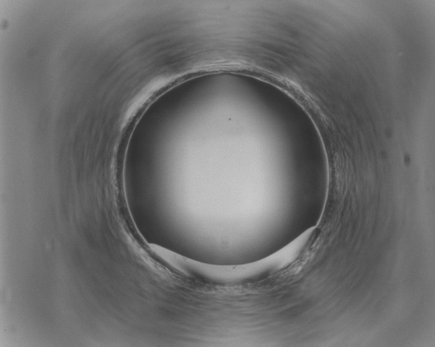 X0000073901422200609011707