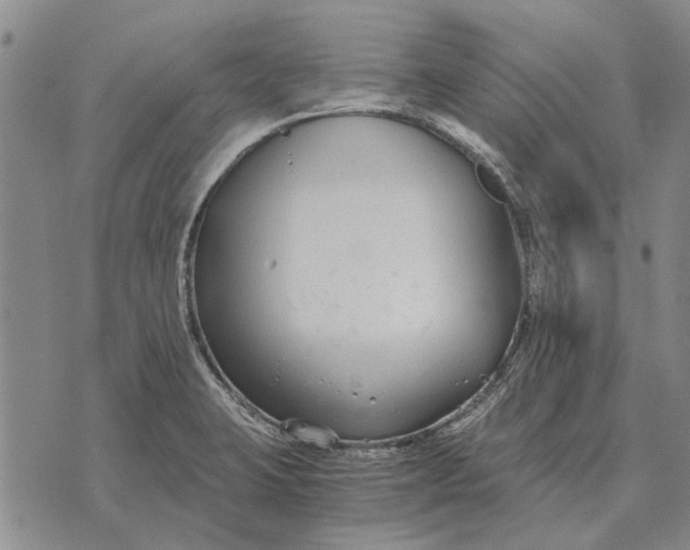 X0000073901423200609011707