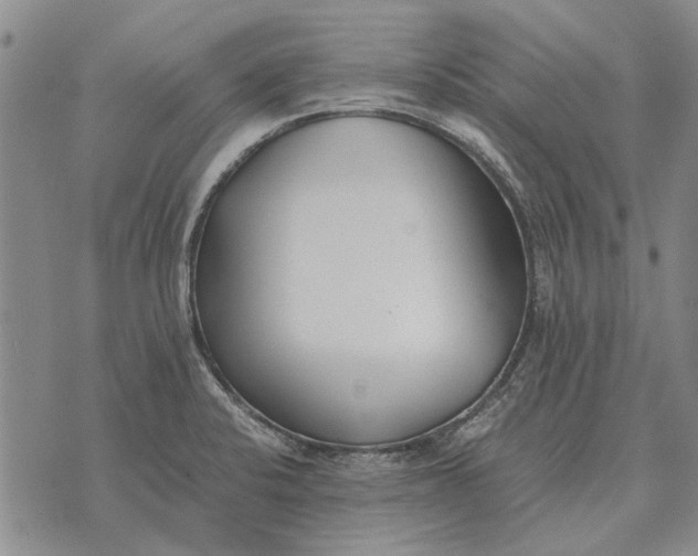 X0000073901424200609011707