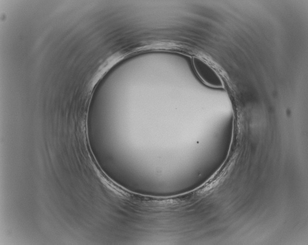 X0000073901425200609011707