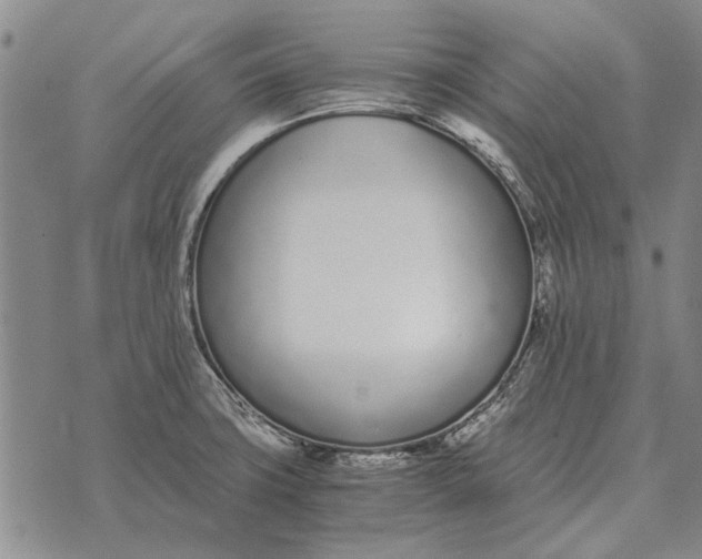 X0000073901427200609011707