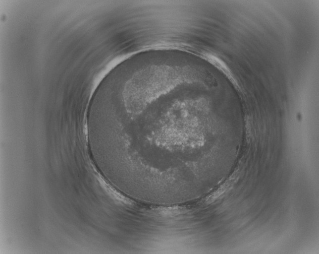 X0000073901428200609011707