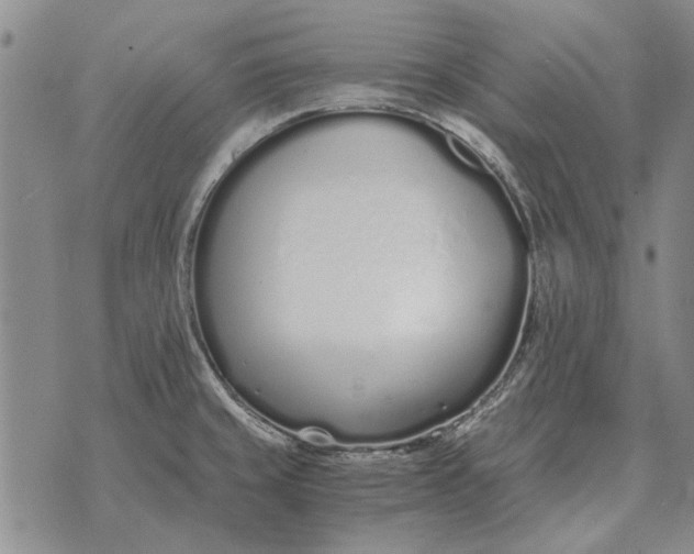 X0000073901429200609011707