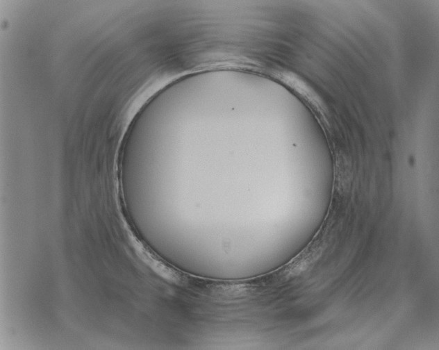 X0000073901431200609011707