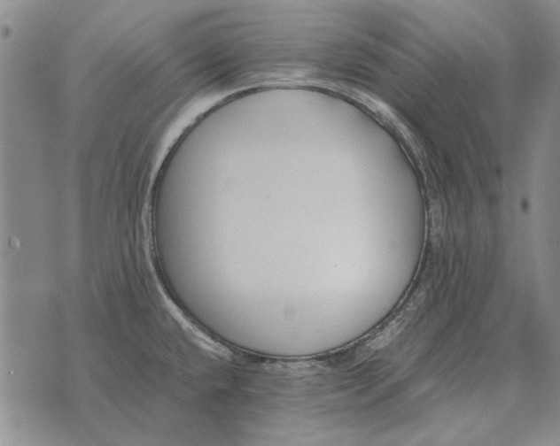 X0000073901432200609011707