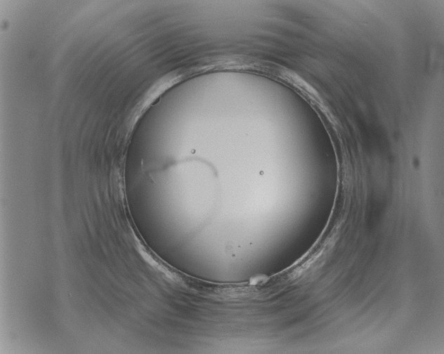 X0000073901433200609011707