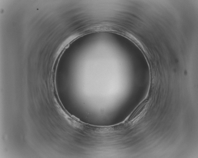 X0000073901434200609011707