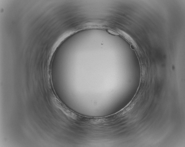 X0000073901435200609011707