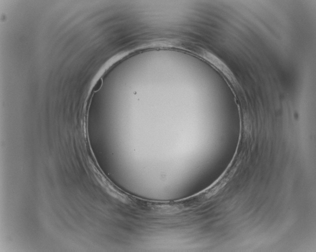 X0000073901436200609011707