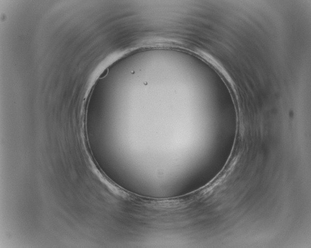 X0000073901437200609011707