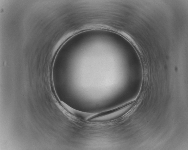 X0000073901438200609011707