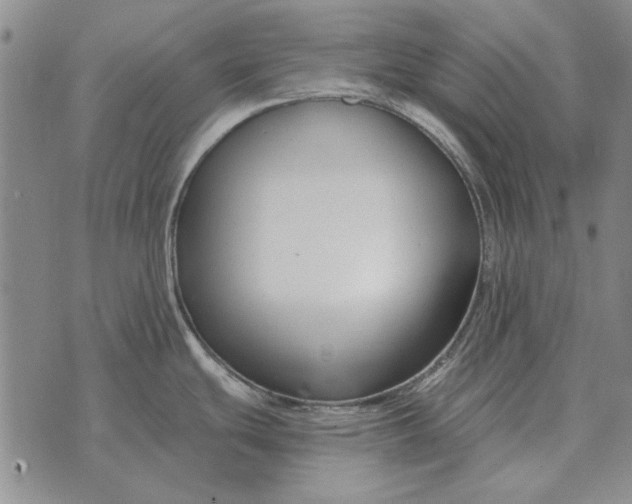 X0000073901439200609011707