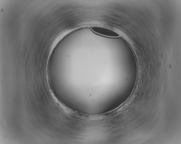 X0000073901440200609011707