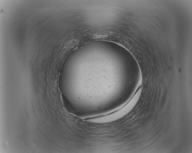 X0000073901441200609011706