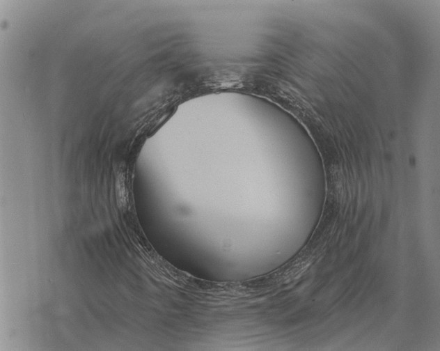 X0000073901442200609011706