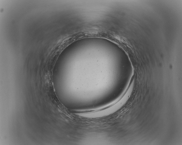 X0000073901445200609011706