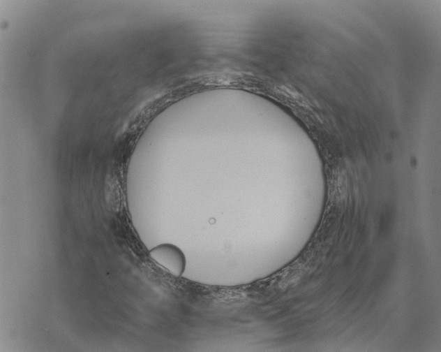 X0000073901446200609011706