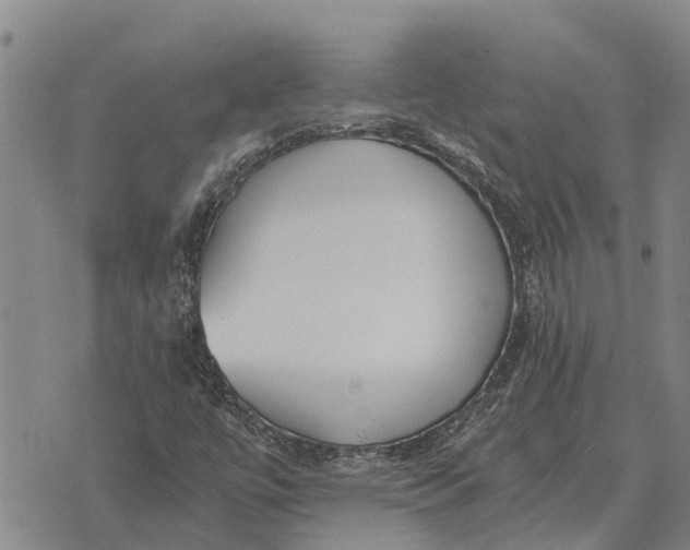 X0000073901447200609011706