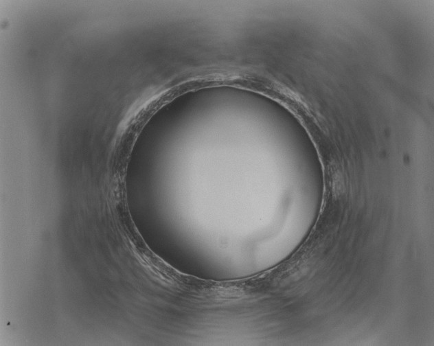 X0000073901448200609011706