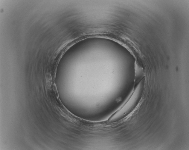 X0000073901449200609011706