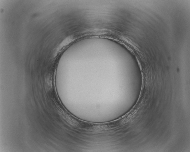 X0000073901451200609011706