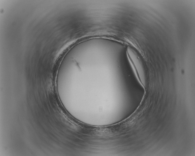 X0000073901452200609011706