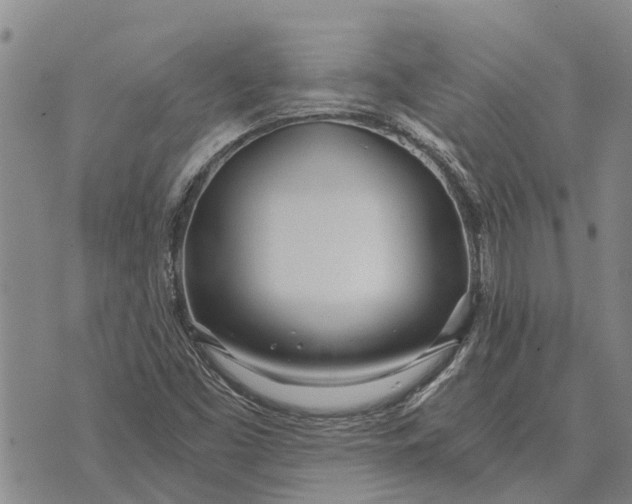 X0000073901453200609011706